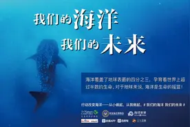 “我们的海洋，我们的未来”——三七互娱世界海洋日为地球环境发声图片
