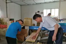透视鸡蛋市场（下）·对策：内调存栏、外拓销路，关注行情不跟风图片