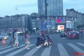 四川人手一只大熊猫？街头遛熊猫的真相来了：是只染过色的松狮犬图片
