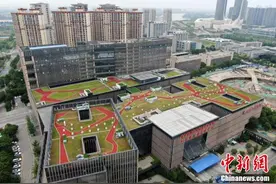 南京河西“空中花园”撑起新城绿色空间图片