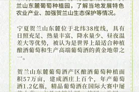 北纬38度：世界种植酿酒葡萄黄金带图片