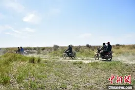 甘肃瓜州设百余名“草管员”守“戈壁绿色”图片