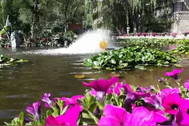 花花花花花花花花花花花花花花花花花世界图片