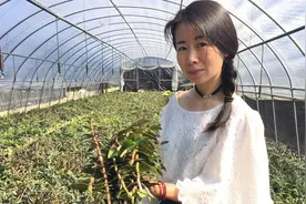 追梦人丨 云和独臂女主播吴海燕：追梦8年 守候石斛花开图片