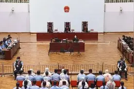 官方曝光“教父级”黑老大，市委书记、市政法委书记等是他“保护伞”图片