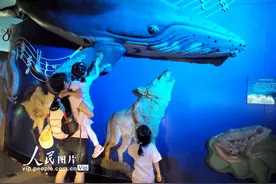 北京动物园有序恢复动物室内场馆开放图片
