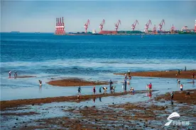 组图丨约上三五好友，一起去赶海图片