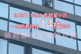 5岁女童悬挂14楼窗外，又是“他们”从天而降图片