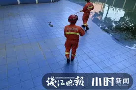 小区游泳池还未开放，“顽皮蛇”先来试水了图片