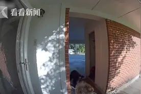开门遇见小黑熊对视1秒 4岁男孩大叫：我喜欢它图片