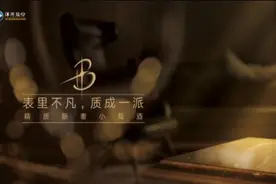 ​洋河小黑瓶惊艳上市 开启中国高端小瓶酒新时代图片