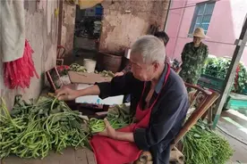想吃有机富硒蔬菜？婺城的这个地方等你来采摘图片