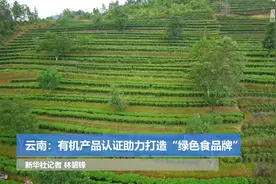 云南：有机产品认证助力打造“绿色食品牌”视频封面