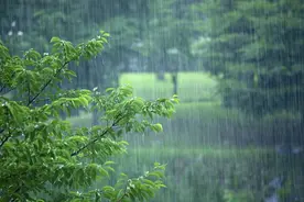 梅雨季女人频发的阴道炎，根源可能是男人图片