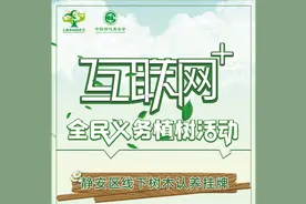 超火爆！今年已结束，明年再来！图片