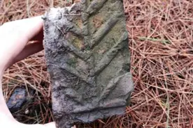 优秀！衡阳市12家工业园区文物影响一般性评估现场核查工作完成图片