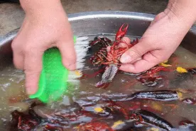 大意不得！与小龙虾“握”了个手，小伙手指溃烂肿成“胡萝卜”图片