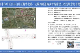 济南公布多条道路规划！涉白马山片区、南北康片区…图片