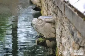 高温之下泉水面临“烤”验，济南黑虎泉西侧虎头近断流图片