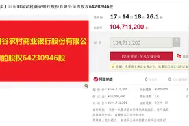 起拍价1亿元！山东阳谷农商行8.97%股权将被司法拍卖图片