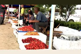 视频｜这个季节的烟台凌晨，从大樱桃的叫卖开始图片