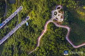 3公里可便捷骑行抵达！深圳每年将新改建超300公里自行车道图片