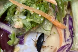 西安一女子点盒马鲜生沙拉吃出虫子：“吐了半个小时，真的恶心”图片