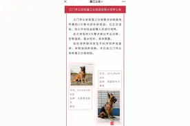 得知2只退役警犬寻领养人，江门100多市民报名了……图片