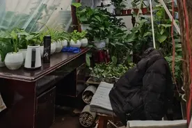 普陀山日记图片