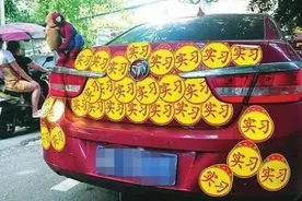 刚拿驾照就开车上路，车后贴满了实习标志，被交警拦下直接扣200图片