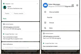 谷歌Pixel尝鲜！Android 11 Beta 1发布图片