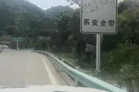 吃货的“最高境界”：有人走上高速公路摘李子！罚图片