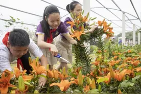 浙江诸暨：小学生自种鲜花谢师恩图片