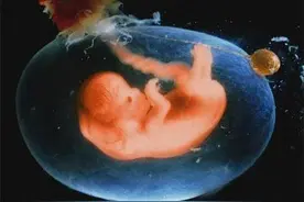 胎儿每天在妈妈肚子里干些啥？看完这5张图，心都暖化了图片