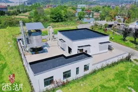 神奇！黑水变清、臭味消失，这些地方是用了什么神仙办法图片