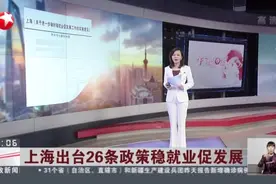 上海出台26条政策稳就业促发展：上海市人社局——全市就业形势总体平稳  5月底就业人数略高于去年同期视频封面
