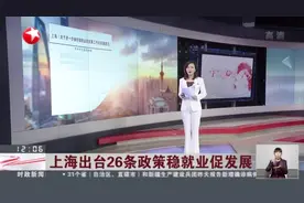 上海出台26条政策稳就业促发展：上海市人社局——全市就业形势总体平稳  5月底就业人数略高于去年同期视频封面