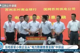 电力数据普惠金融！“电力大数据”助力解决中小微企业融资难视频封面