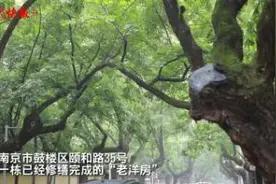 86岁使馆旧址变身文化交流中心，南京颐和路将开放109处院落图片