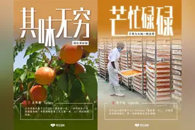 订单都来自中国，考拉海购成全球工厂复工第一站图片