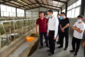 刘金波：落实举措务求精准 完善扶贫长效机制 全力答好脱贫攻坚的“收官之卷”图片