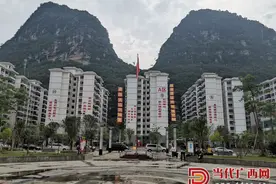 粤桂协作拔穷根 助力都安奔小康图片