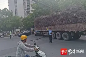 货车刮落空中光缆，民警徒手撑起保通行图片