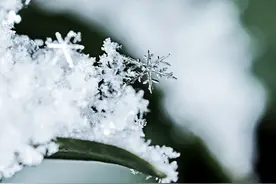 一课译词：雪上加霜图片