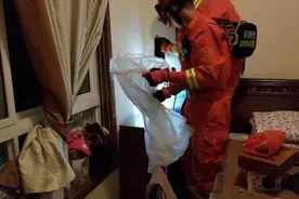 “我亲眼见到蛇钻进洗衣机”，昨晚杭州一房主吓得赶紧报警图片