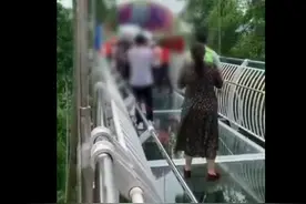 旅行团上桥后组织游客跳舞，致桥身晃动，保安急得大喊：别跳了图片