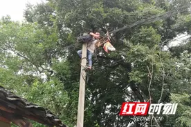 确保通信的畅通——江华特大洪灾后永州四大通讯运营商抢修纪实图片