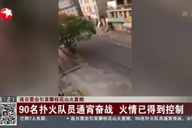 连日雷击引发攀枝花山火复燃：90名扑火队员通宵奋战  火情已得到控制视频封面