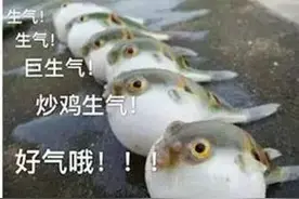 私自烹饪河豚致食客成“植物人”，被判刑一年图片
