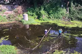 河道专项整治！打捞杂物100余车！图片